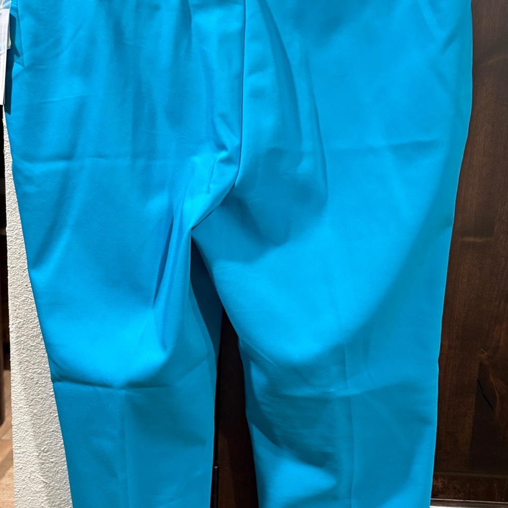 Investments Bright Blue Ankle Pants - Picture 2 of 4